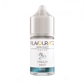 Flavourage Freezy Mint - Mini Shot 10+10