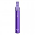 Kiwi Go Disposable - Grape Ice - 2ml