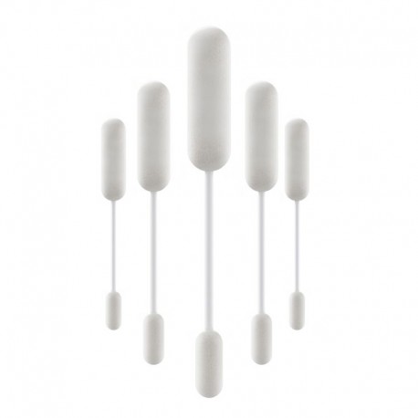 Kiwi Clean stick per Kiwi - 5pcs