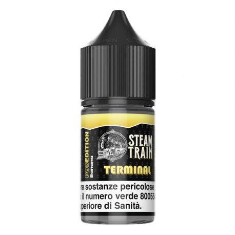 Steam Train Terminal - Pod Edition - Mini Shot 10+10