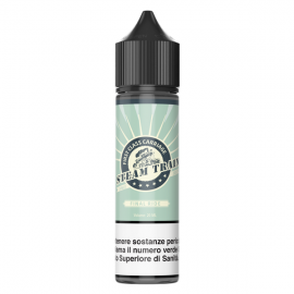 steam-train-final-ride-ejuice-20ml-in-60ml-chubby-bottle