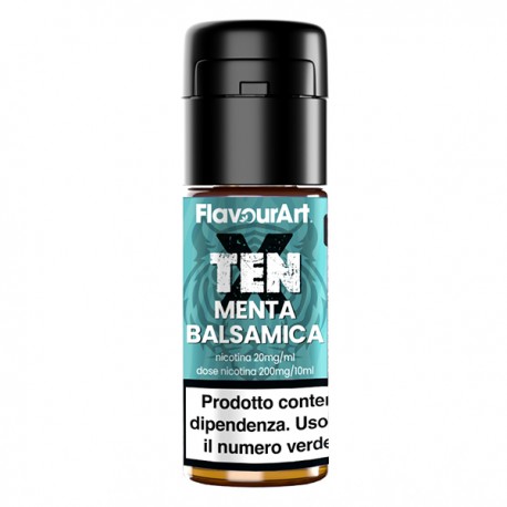 Flavourart TENX NicSalt Mint - 10ml