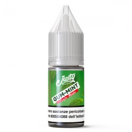 Justy Flavor Gum-Mint - Justy Classic Flavour 10ml