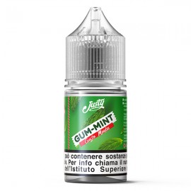 Justy Flavor Gum-Mint - Justy Classic - Mini shot 10ml