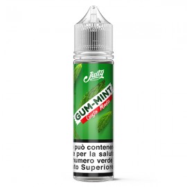 Justy Flavor Gum-Mint - Justy Classic - Shot 20 in 60ml