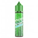 Eliquid France Mint & Dragon Fruit - Vape Shot - 10ml