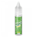 Eliquid France Mint & Pineapple - Mini shot 10+10