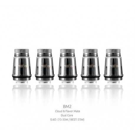 Smok grelna glava BM2 za Brit - 5 kosov