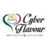 Cyber Flavour